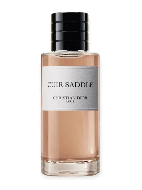 Dior Cuir Saddle