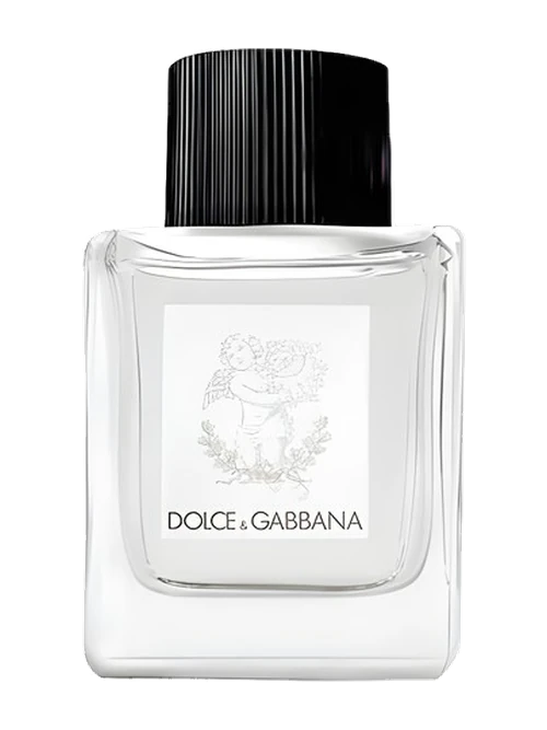 Dolce & Gabbana Perfume for Babies