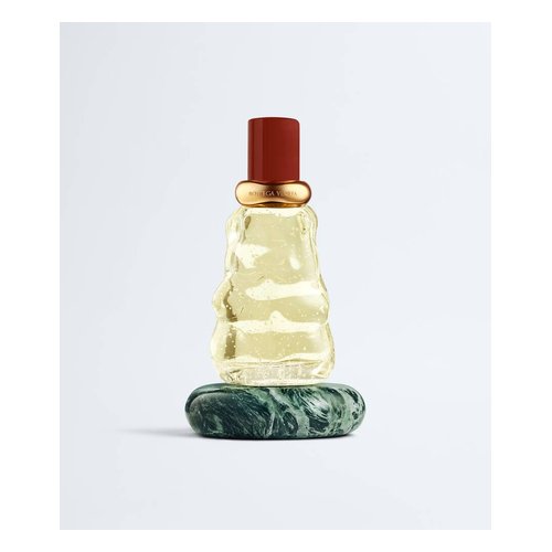Bottega Veneta Come with Me