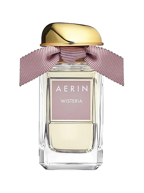 Aerin Wisteria
