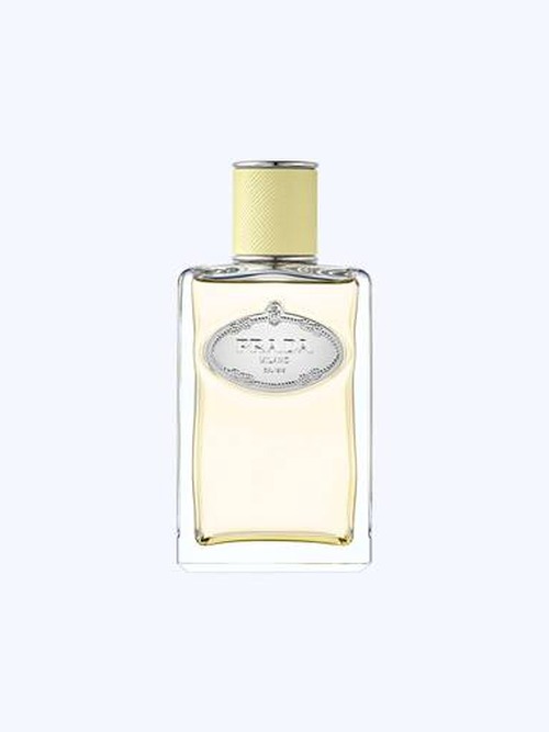 Prada Infusion de Gingembre