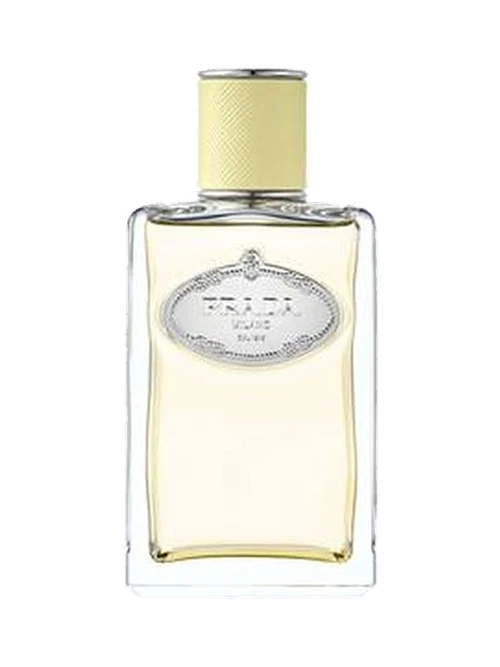 Prada Infusion de Gingembre