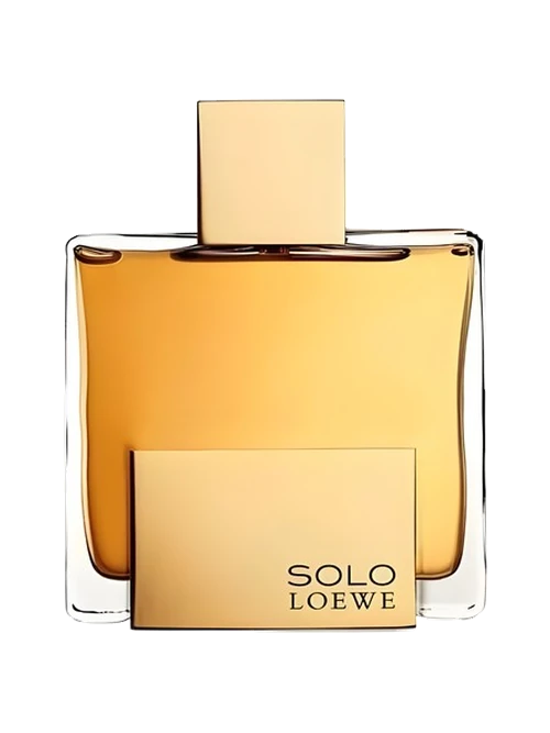Loewe Solo Loewe Absoluto