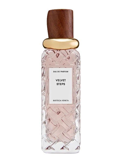 Bottega Veneta Velvet Steps