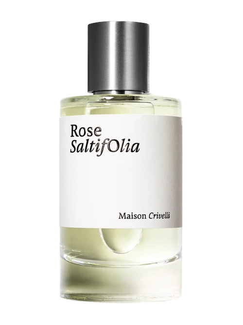 Maison Crivelli Rose Saltifolia