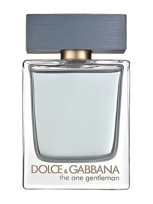 Dolce & Gabbana The One Gentleman