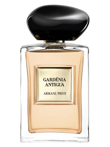 Giorgio Armani Gardenia Antigua