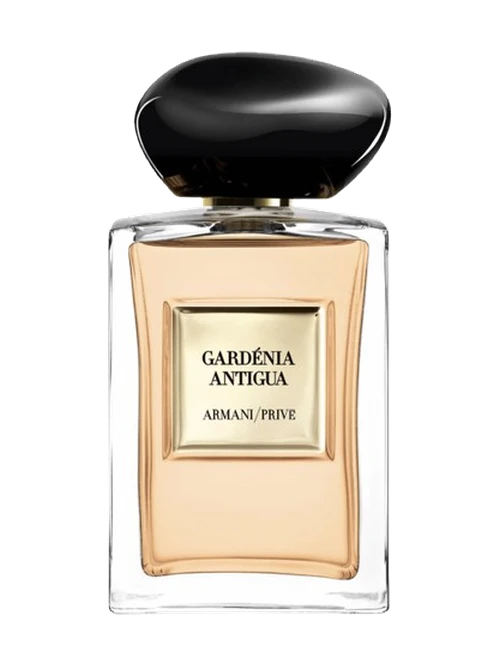 Giorgio Armani Gardenia Antigua