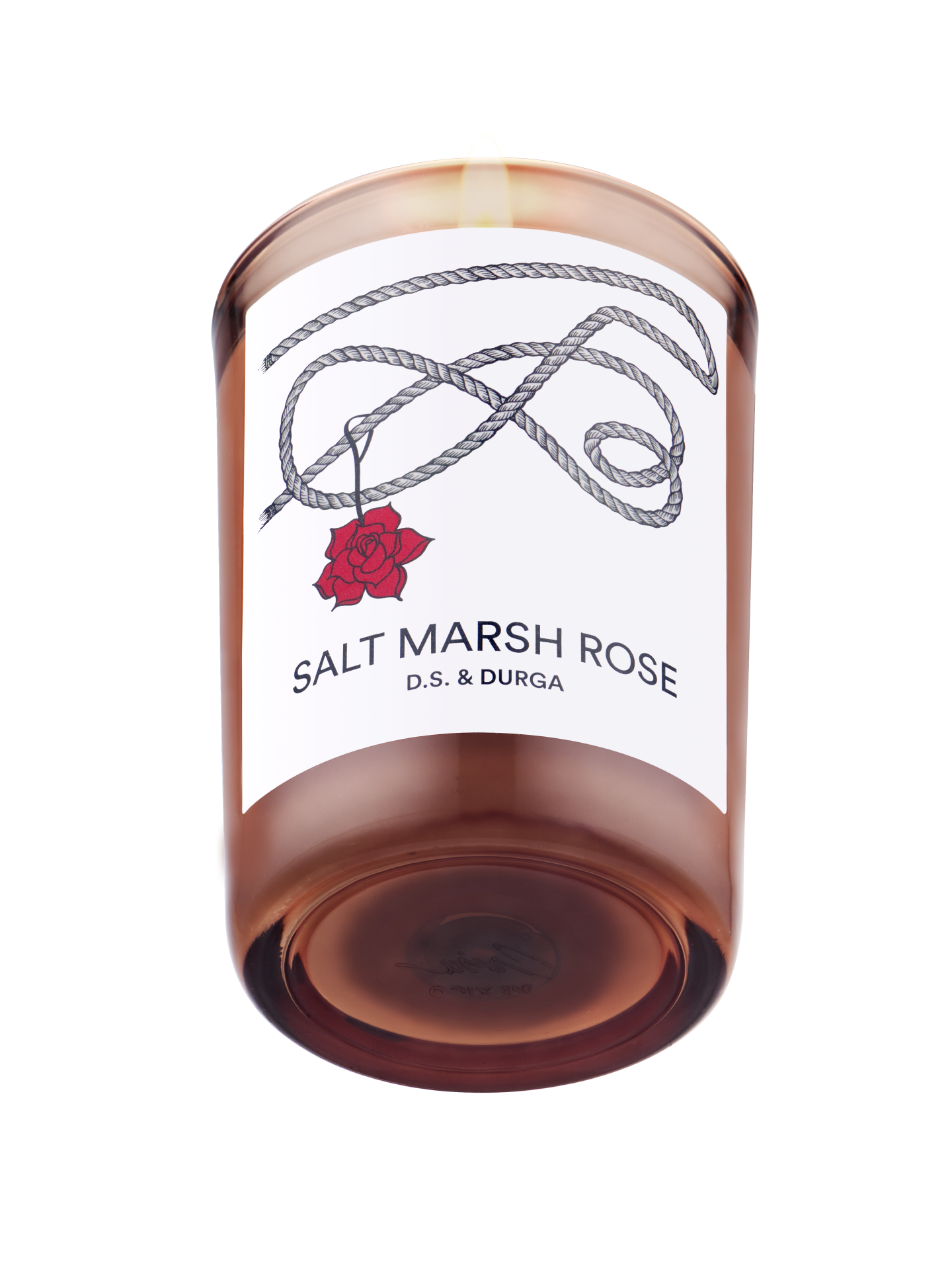 Salt Marsh Rose