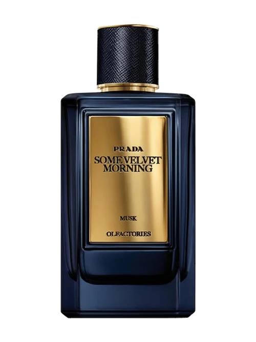 Prada Mirages Some Velvet Morning