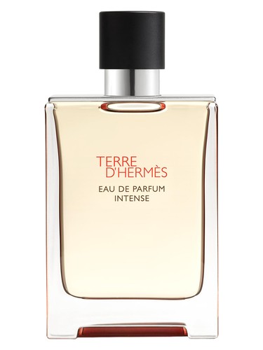 Hermès Terre d'Hermès Eau de Parfum Intense
