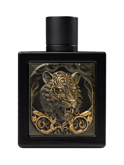 Rayhaan Rayhaan Tiger