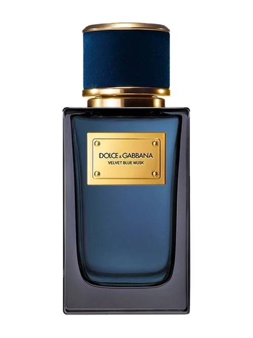 Dolce & Gabbana Velvet Blue Musk