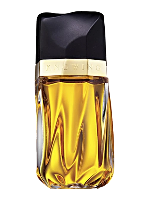 Estée Lauder Knowing