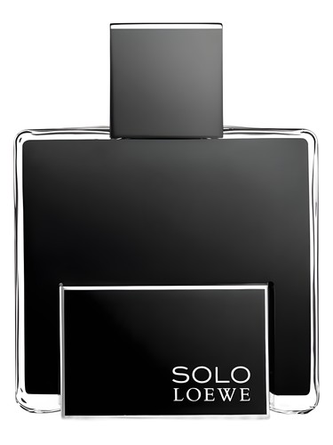 Loewe Solo Loewe Platinum
