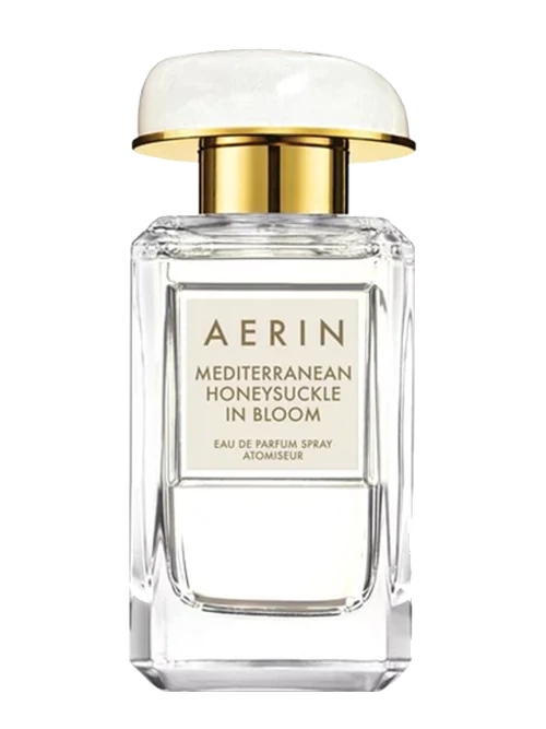 Aerin Mediterranean Honeysuckle in Bloom