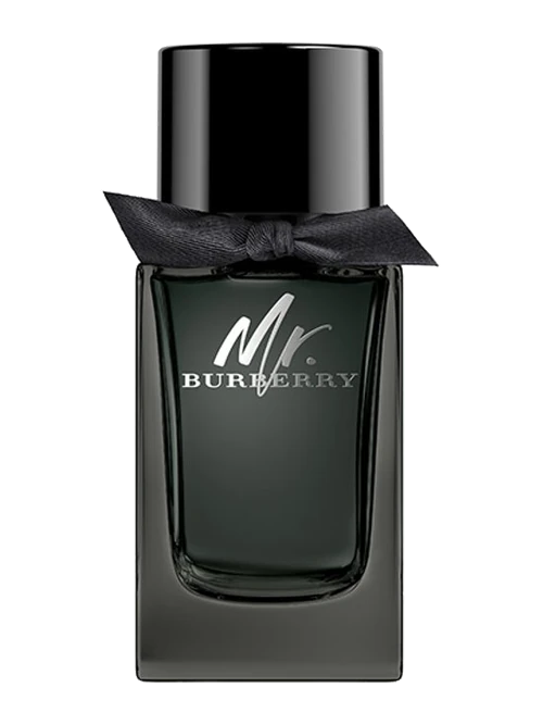 Burberry Mr. Burberry