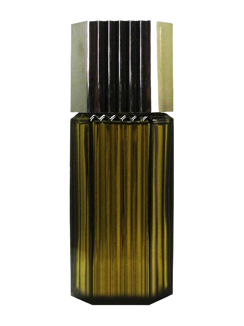 Estée Lauder Metropolis for Men