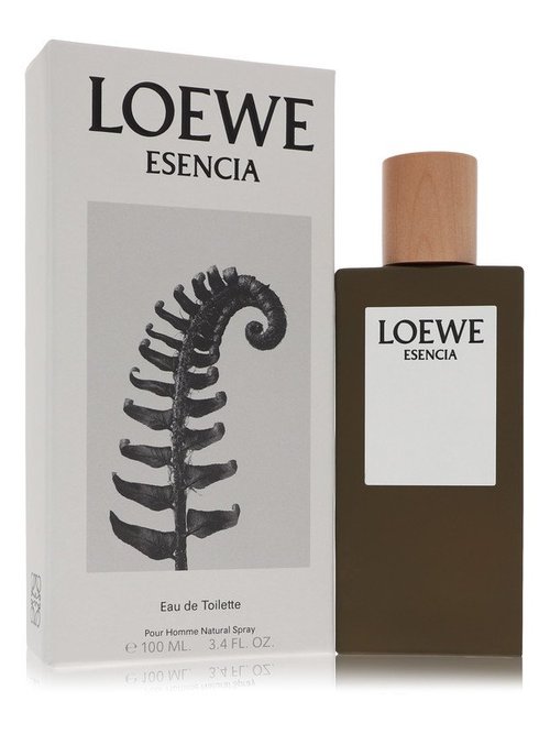 Loewe Solo Loewe Intense