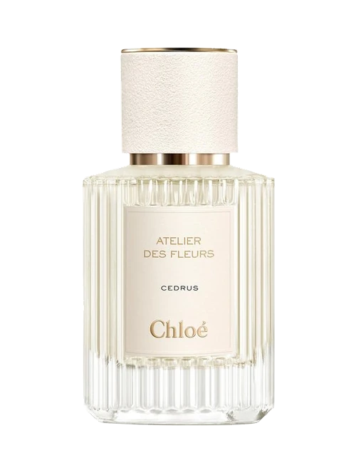 Chloé Atelier des Fleurs Cedrus