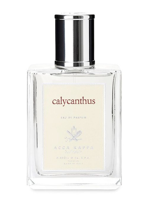 Comme des Garçons Rhubarb