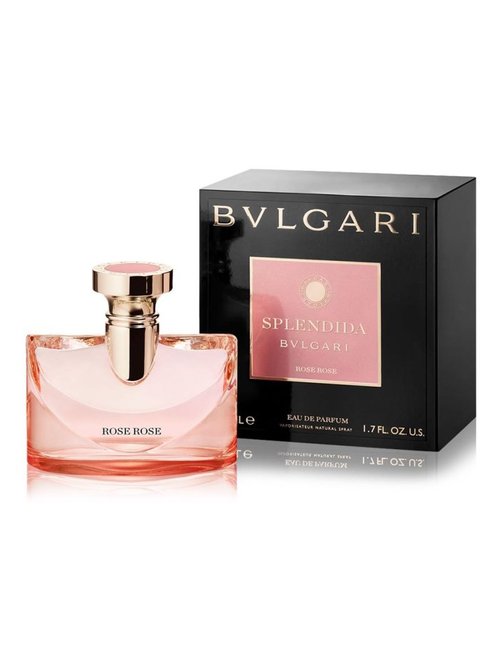 Splendida Rose Rose