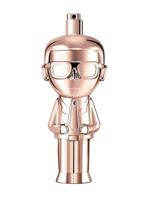 Karl Lagerfeld Karl Ikonik Pour Femme