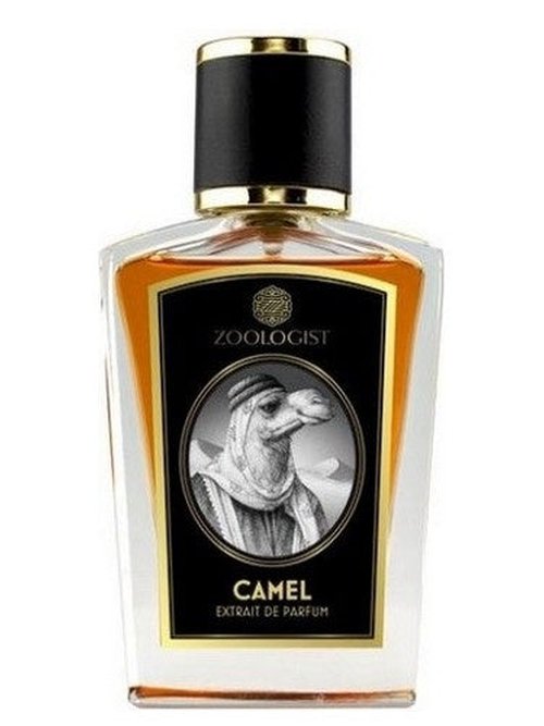 Camel