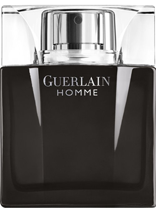 Guerlain Homme Intense