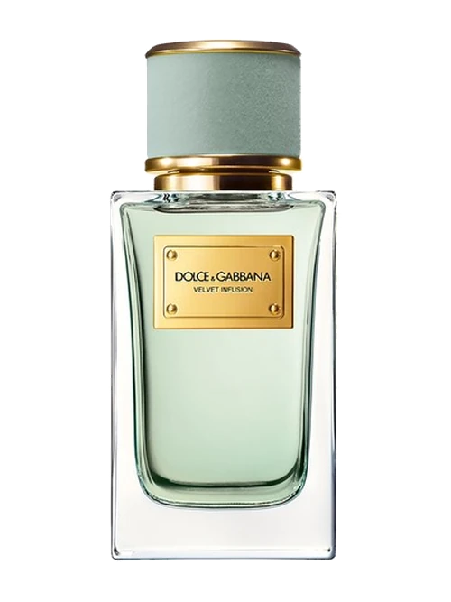 Dolce & Gabbana Velvet Infusion