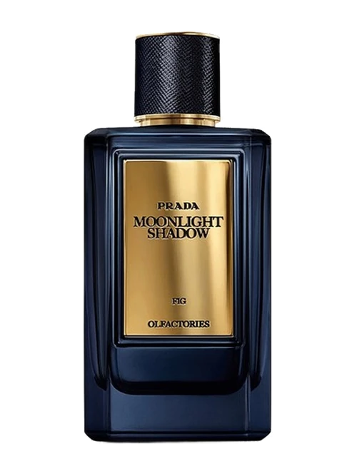 Prada Mirages Moonlight Shadow