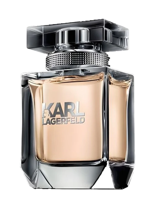 Karl Lagerfeld for Him