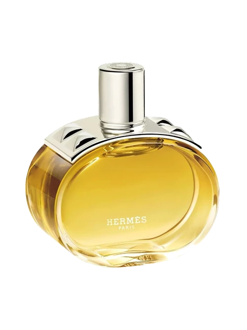 Hermès Barénia Intense