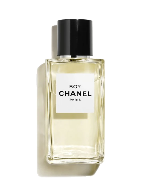 Chanel Boy Chanel