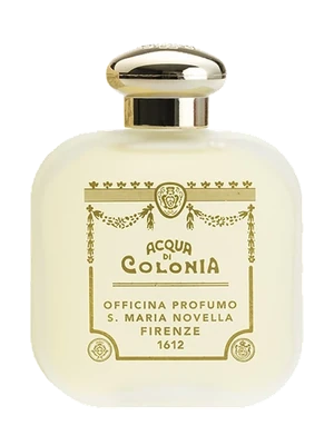 Santa Maria Novella Tuberosa