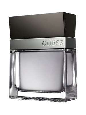Guess Seductive Homme