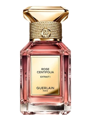 Rose Centifolia Extrait 1