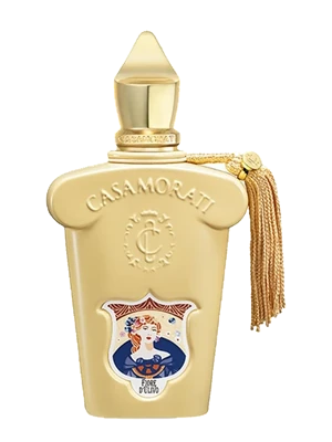 Fiore d'Ulivo