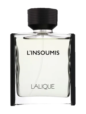 L'Insoumis