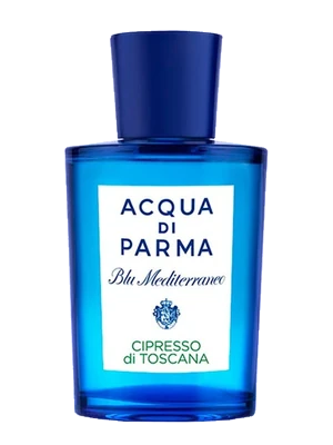 Cipresso di Toscana
