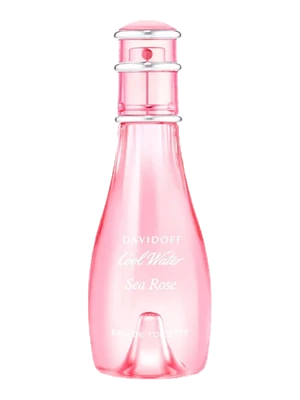 Cool Water Sea Rose