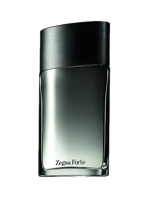 Zegna Forte