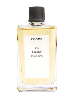 No. 5 Narciso