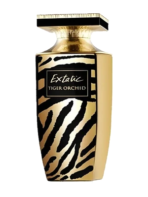 Extatic Tiger Orchid