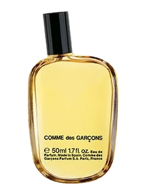 Image de Comme des Garçons
