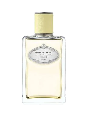 Prada Infusion de Gingembre