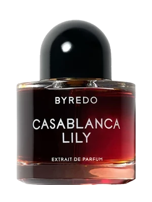 Casablanca Lily
