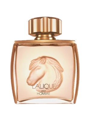 Lalique Pour Homme Equus