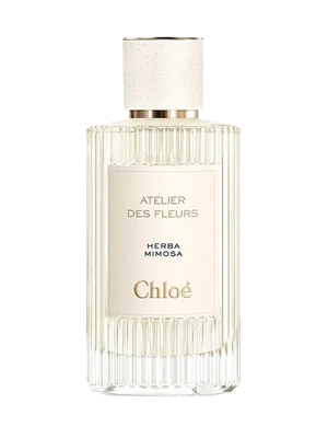 Atelier des Fleurs Herba Mimosa