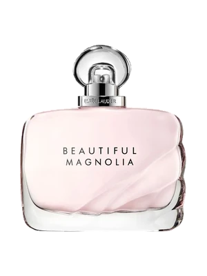 Beautiful Magnolia